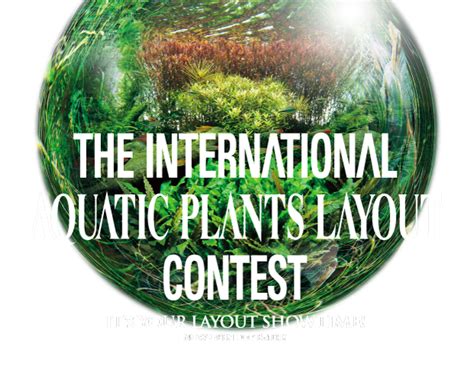 The World's largest contest IAPLC .